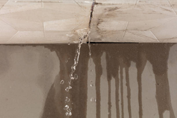 Professional Sewage Cleanup technician working in Stoddard, NH